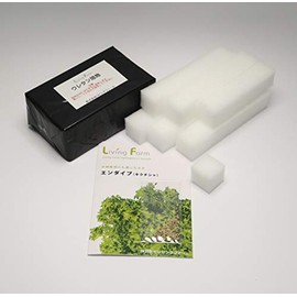 Living Farm Endive Sponge Media with Seeds (Urethane Media for Hydroponics, 60 Pieces)