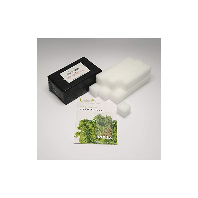 Living Farm Endive Sponge Media with Seeds (Urethane Media for