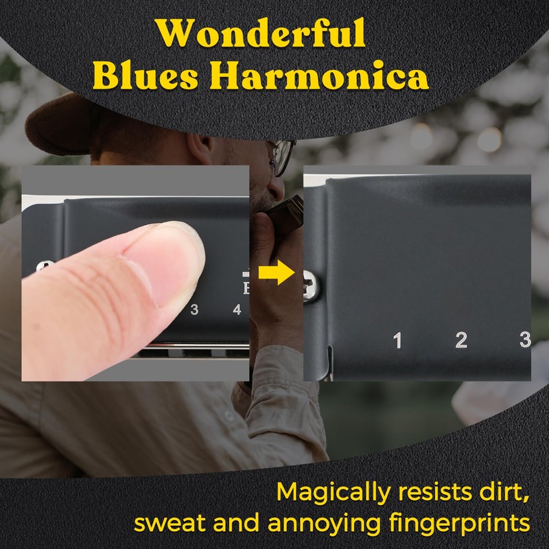 EASTROCK Blues Harmonica with 10 Holes C Glazed Black