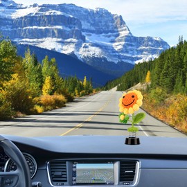 Car Bobble Figure, Funny Car Bobble Head Figure, Dashboard Decoration, Creative Dashboard Car Decoration Accessories, Shake Head Toy for Car, Office & Home Drivers