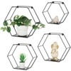 Walasis Hexagon Shelves Black for Wall - Metal Wood Floating