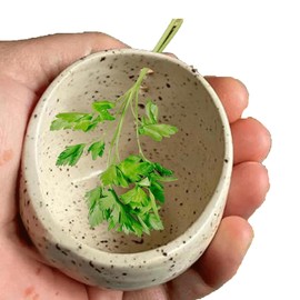 Wmzjnljy 1pc Pottery Herb Stripper Bowl Handmade Pottery Herbs Strippers Different Round Hole Sizes for Fresh Herbal Leafy Greens Suitable(Z130-1)