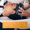 Argan Deluxe Hair Mask and Scalp Rejuvenating Deep Conditioner Masque,