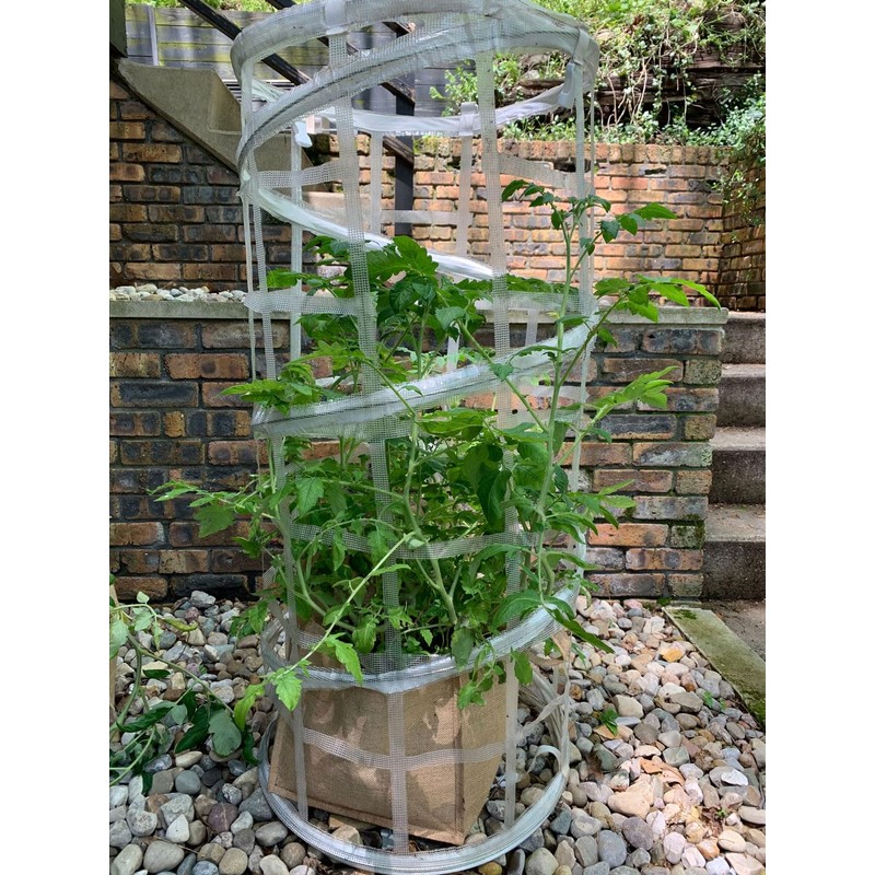 AutoPot Plant Trainer (2 Pack) with Scroggers (2 Pack) -