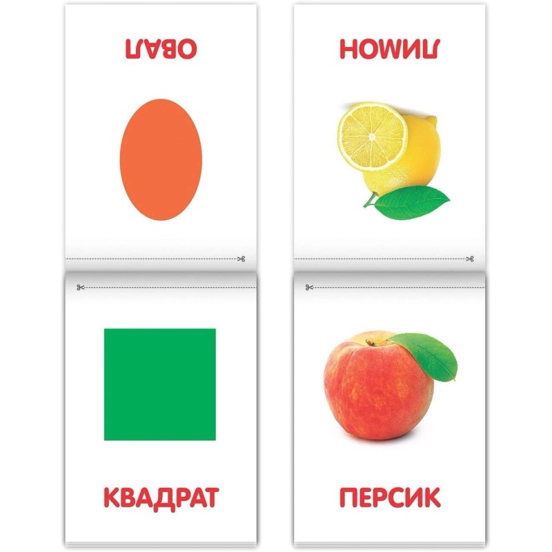 Doman Method Russian Flashcard Book Set for Learning Set -