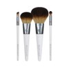 EcoTools, Brush Set On The Go, 4 Count