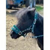 Equipride Horse Print Faux Lined Nylon Headcollars with Matching Lead