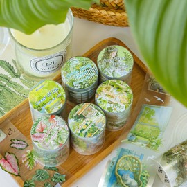 Scrapbook Accessories Stickers for Flowers, 6 Rolls PET Washi Tape Set, Transparent Tapes Stickers Adult for Scrapbooking, Junk Journaling, Bullet Journal, Travel Journal (Green Oxygen Plan Series)