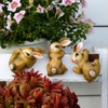 Kelendle 3Pack Flower Pot Huggers Animals Resin - Plant Pot