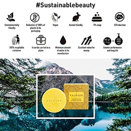 Valquer Shampoo Sólido Ácid – Antioxidante, Purificante y Refrescante con Limón y Canela – Sin Sulfatos, Plásticos ni Jabón – Vegano – 50 g
