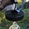 Ant Moat with Solar Lights for Hummingbird Feeders, Hanging Ant