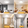 OOWOLF Metallic Ceiling Light LED Lamp - 2 Pack 24