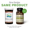 Nature's Sunshine Hydrangea, 100 Capsules, 650mg of Pure Hydrangea Root