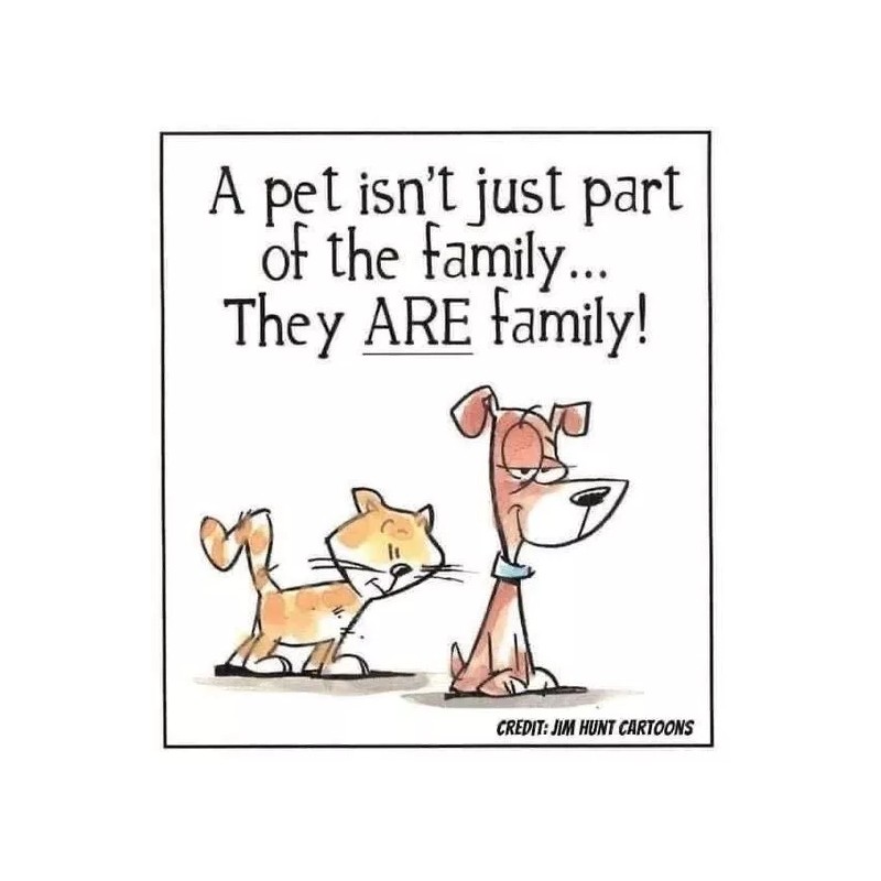 Child's Pink Engineer Hat NEW