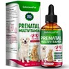 SalutemPet Prenatal Vitamins for Dogs & Cats with Glucosamine |
