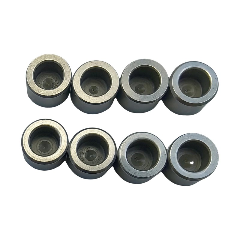 Seapple 8PCS V3300 V2003 V1903 V2203 V2403 D1703 Valve Cap