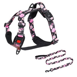 Petmolico No Pull Dog Harness Leash Set, Front and Back Metal Clips Easy Walk Dog Harness with Handle for Training Outdoor Adventures, Peony Small