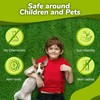 Natural Elements Mole and Vole Repellent | 100% Castor Oil