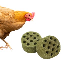 BingegePet Chicken Coop Accessories, 2 Pack Chicken Beak Timothy Grass Block, Chicken Toys for Coop, Enrichment Toys for Hens, Ducks, Geese, Turkeys, and Other All Poultry