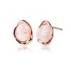 Teppdfann Opal Earrings for Women – Rainbow Birthstone Earrings in