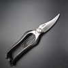 Tobitsuka Seikyosho Hisho Single Blade Bud Cutting Shears 200mm Gold