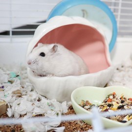 LuckyOpt Ceramic Hamster Hideout, Cute Shell-Shaped Small Animal Habitat, Large Opening Easy to Clean Ceramic Hamster House for Hamsters, Gerbils, Chinchilla, Dwarf Hamster (Pink)