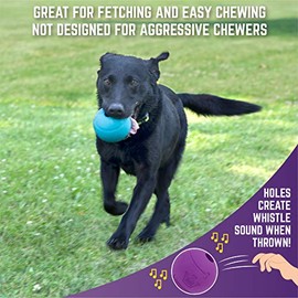 Chew King Fetch Balls - Juguete de Goma Natural Extremadamente Duradero de 4 Pulgadas, Paquete de 2 (CM-10031-CS01)
