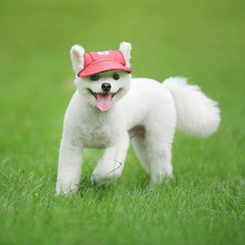 Leson Baseball Caps Hats with Neck Strap Adjustable Comfortable Ear Holes for Small Medium and Large Dogs in Ourdoor Sun Protection