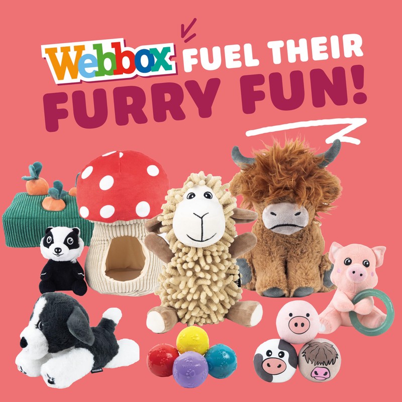 Webbox Gerald the Goat - Plush & Squeaky Dog Toy