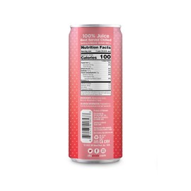 ALO Slim Can Juice | Watermelon Juice | Not from Concentrate | 10.8oz Cans (Pack of 12)