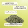 Matter Greengoddess Superalimentos Verdes Green Superfood Powder Mix, 24 Sachets