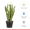 Scheurich Set of 3 Classic Anthrazit Ceramic Plant Pots –