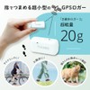 THANKO Ultra-Compact GPS Data Logger "Stroll Logger 2" SMGP25CWH GPS