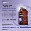 OmniBiotics Evening Primrose Oil + Milk Thisle Capsule