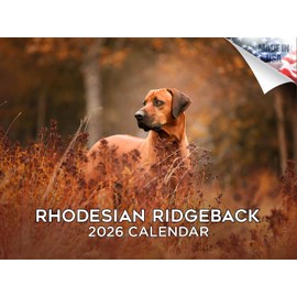 2025 2026 Rhodesian Ridgeback Calendar - Dog Breed Monthly Wall Calendar - 12" x 18" Open - Thick No-Bleed Paper - Giftable - Academic Teacher's Planner Calendar Organizing & Planning