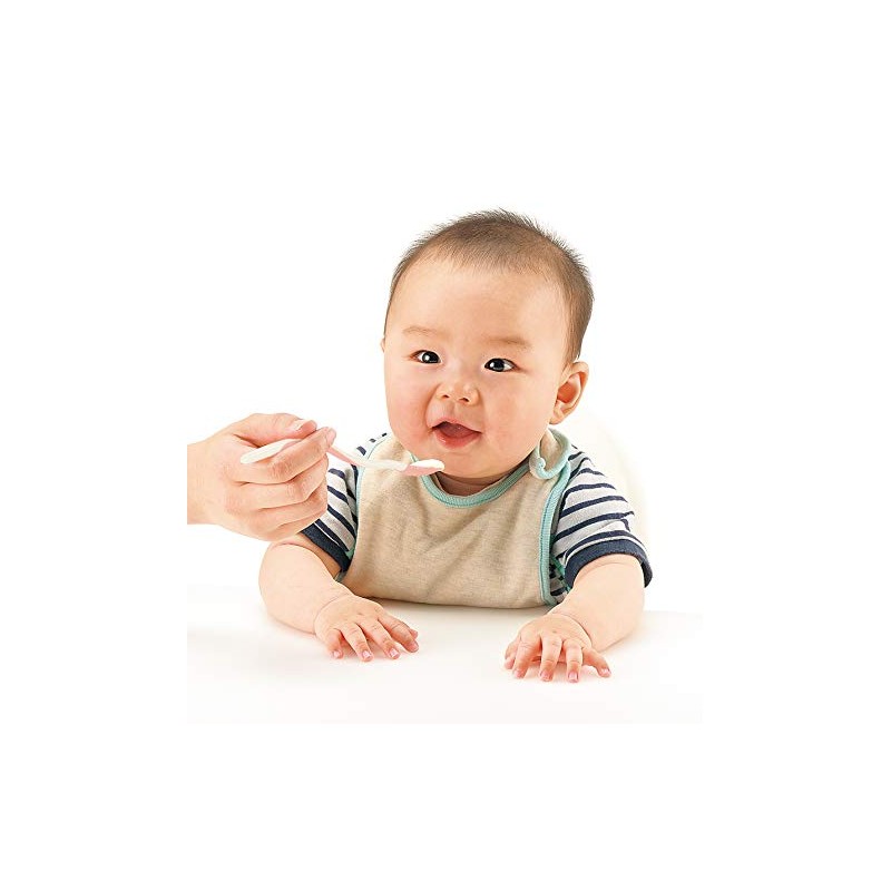 Richell Miffy Baby Food Spoon Set (Case Included)