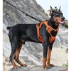Dog Harness with Handle, Tactical Dog Harness Vest for Large,