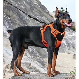 Dog Harness with Handle, Tactical Dog Harness Vest for Large, Medium Dogs, No Pull, Adjustable, Reflective, Military Dog Vest, Harness for Walking, Hiking (Orange, X-Large)