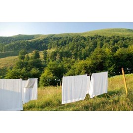 Fragrance Oil for Candles and Diffusers (8oz, Clean Sheets)