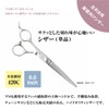DEEDS LP-01 Scissors 6.0 Inch Professional Japanese Shears Maker for