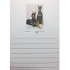 Doberman Pinscher Dog Magnetic Refrigerator List Pad