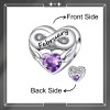 Viola Lovely Charm February Heart Infinity Birthstone Charm For Bracelet,