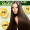 Shampoo Tinte Yecuce 500ml Cubre Canas Nutre Castaño