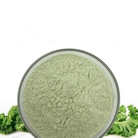 Kale Extract Powder 100g Sample