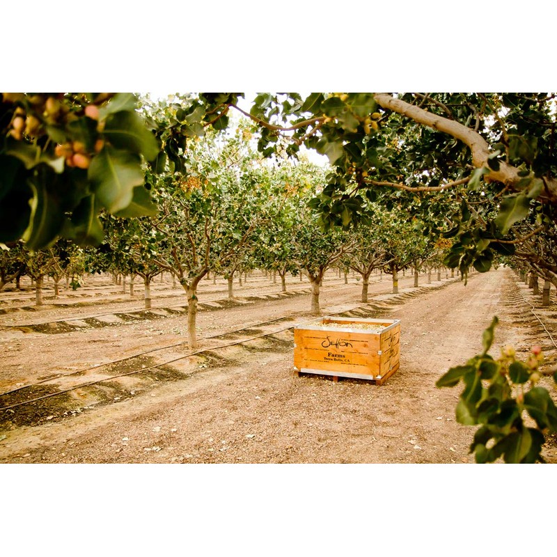 Organic Pistachios Shelled Roasted Salted, 5 Oz. Bag, Kosher