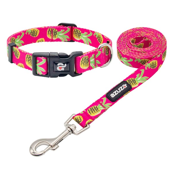 azuza Dog Collar and Leash Set, Pineapple Patterns on Nylon