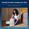 BLUEAIR 110410 Air Purifier Filter, Polypropelyne Fibres and Activated Coconut