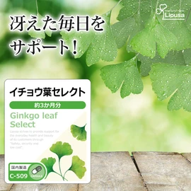 Lipsa C-509-2 Ginkgo Biloba Select, Approx. 3 Months Supply, 2 Bags (180 Capsules x 2 Bags), Supplement, Ginkolide, Polyphenol, Inadvertently Elderly, Study, Work, Thinking, Health, Energetic, Made in