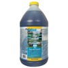 EasyCare FounTec 50064 Algaecide and Clarifier, 64 oz. Bottle, No