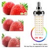 FanNicoo E12 LED Bulbs,20W LED Corn Light Bulb 150W Equivalent